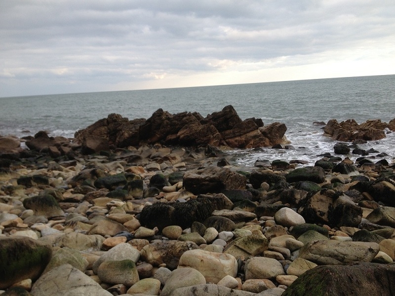 whiterock centre 2013 2