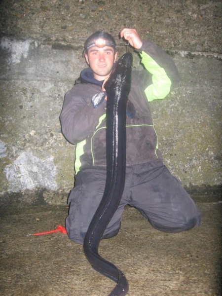 17lb conger on beach caster 2009