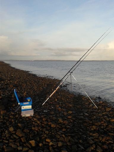 Carrig Island East Stephen's Day 2013