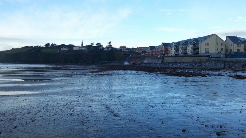 1508597 3865302528575 1303570536 n