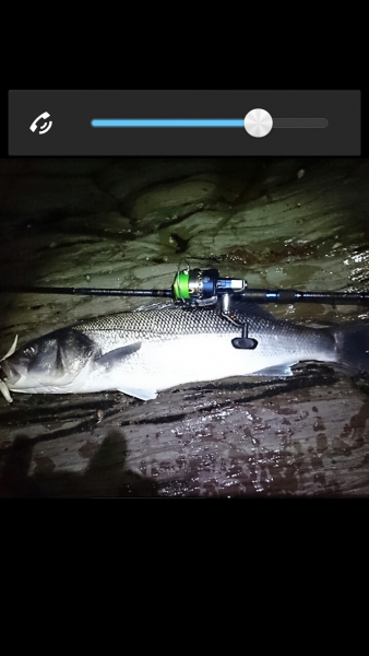 image-cb0db18fe0dc9fc668fb7ac6b34fee99eb3fe6823a0326e8cbb73cbe129231b9-V