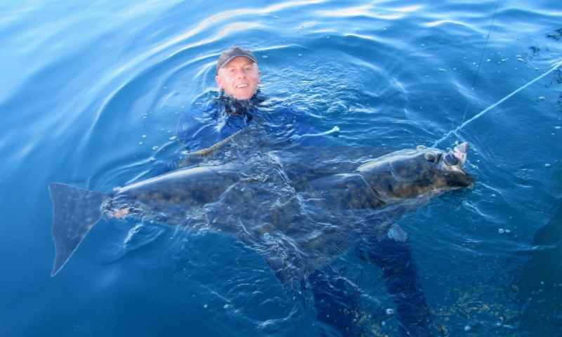 150lb Halibut