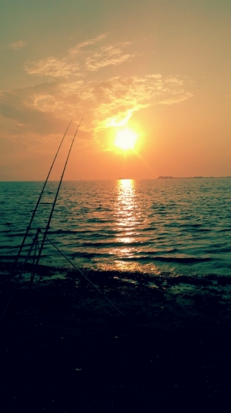 IMAG0465 1 (448x800)