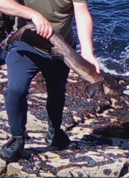 688D9A7E-82DB-4E6B-857C-93DB7CD948C7