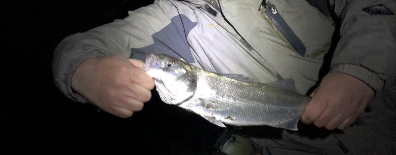 48711738-523F-4DBC-8C57-5691CE98743E