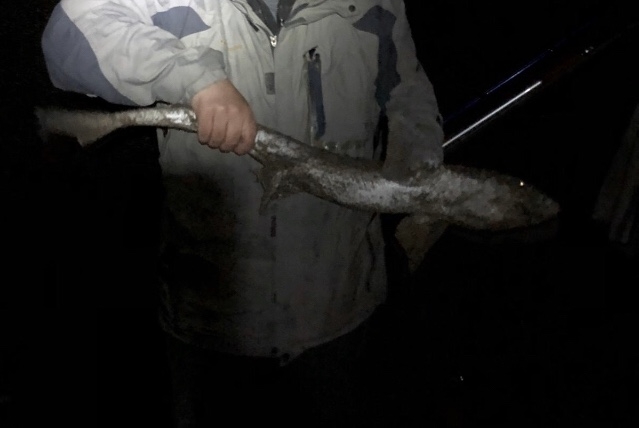 09E5CDCF-CF90-4806-9A9F-F9E6D4859560